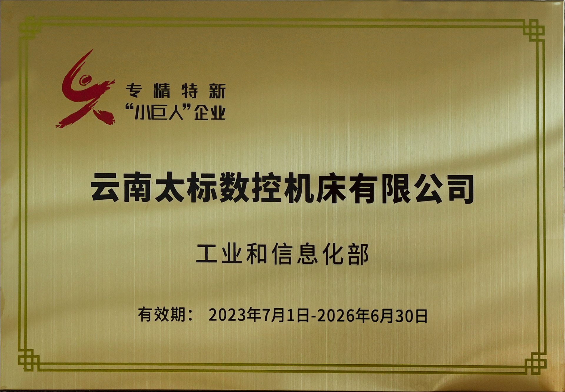 國家級專精特新小巨人企業(yè)